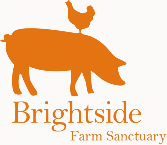 Conservation Animals Brightside Farm Sanctuary 1 image